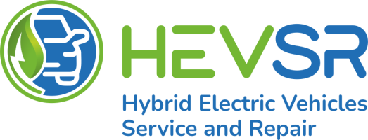 Pro Academy HEVSR
